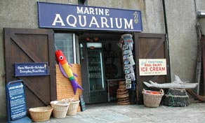 Marine Aquarium on the Cobb