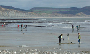 Beachcombing at Lyme Regis when the tide is out