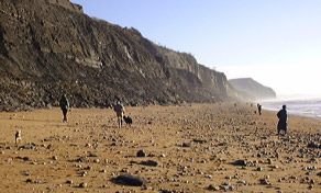 Fossil hunting at Charmouth beach