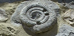 A fossil built into a house at Lyme Regis