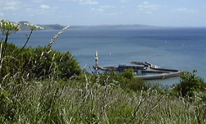 View of the Cobb from the coastal path